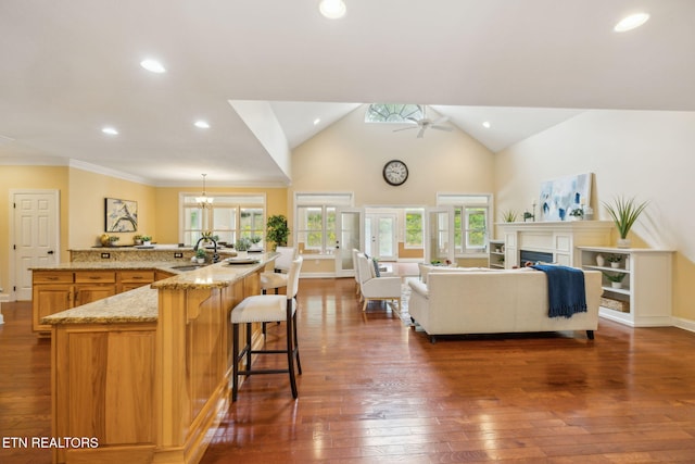 371 Pin Oak Dr, Rockwood, TN 37854 - kitchen featuring hardwood / wood-style floors, light stone countertops, open floor plan, a ceiling fan, and recessed lighting