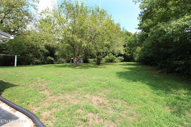 228 Pedigo Rd, Madisonville, TN 37354 - view of green lawn