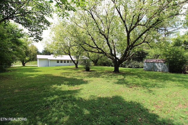 228 Pedigo Rd, Madisonville, TN 37354 - view of green lawn with a storage unit