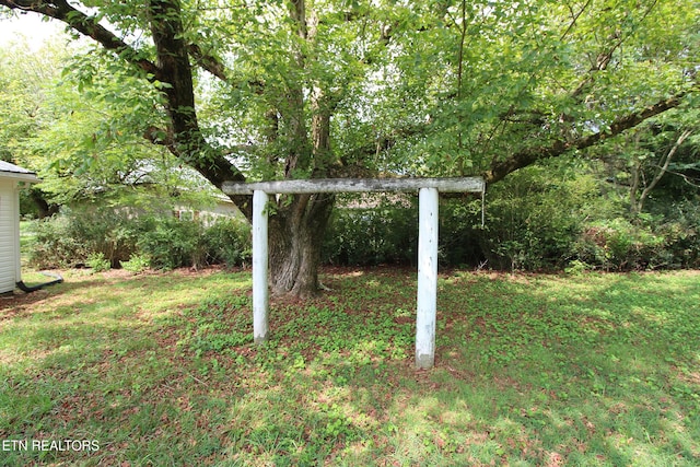 228 Pedigo Rd, Madisonville, TN 37354 - view of grassy yard