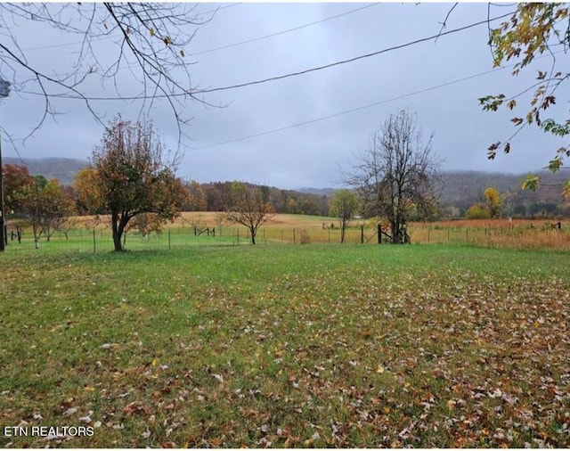 view of yard with a rural view