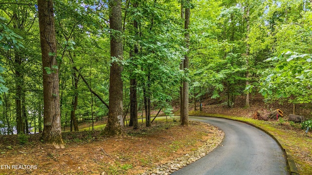 view of road