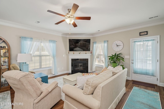 living room featuring ceiling fan, dark wood-type flooring, and crown molding