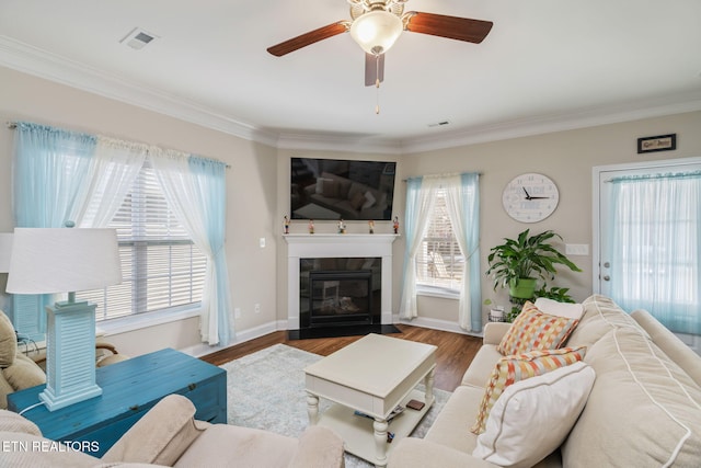 living room featuring ceiling fan, plenty of natural light, crown molding, and hardwood / wood-style floors