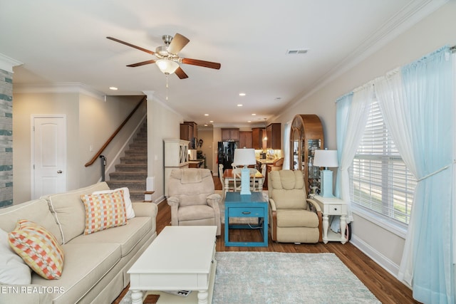 living room with ceiling fan, dark hardwood / wood-style floors, and crown molding