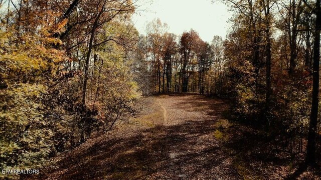0 Kennet Ln, Sparta, TN 38583 - photo 18