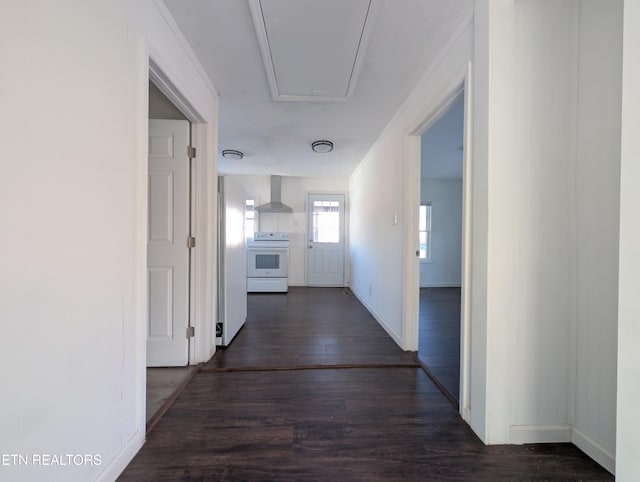 hall with dark wood-type flooring