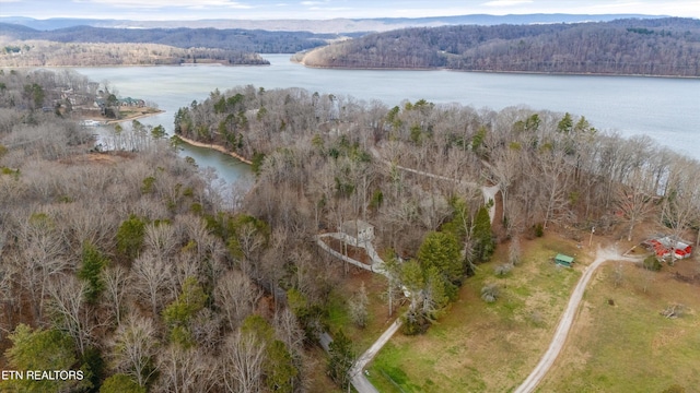 birds eye view of property with a water and mountain view