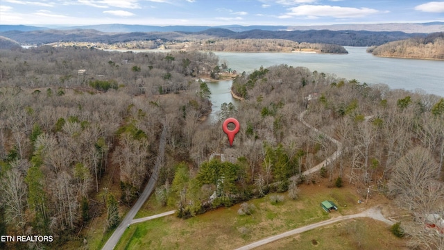 bird's eye view with a water and mountain view