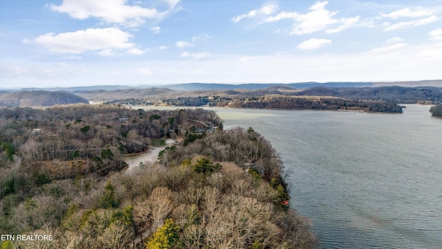 birds eye view of property featuring a water and mountain view