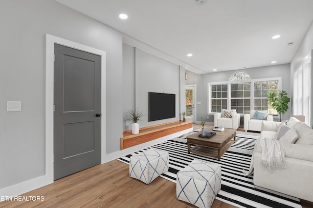 living room featuring light hardwood / wood-style flooring