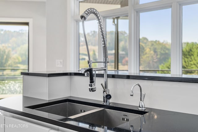 kitchen with sink and a healthy amount of sunlight