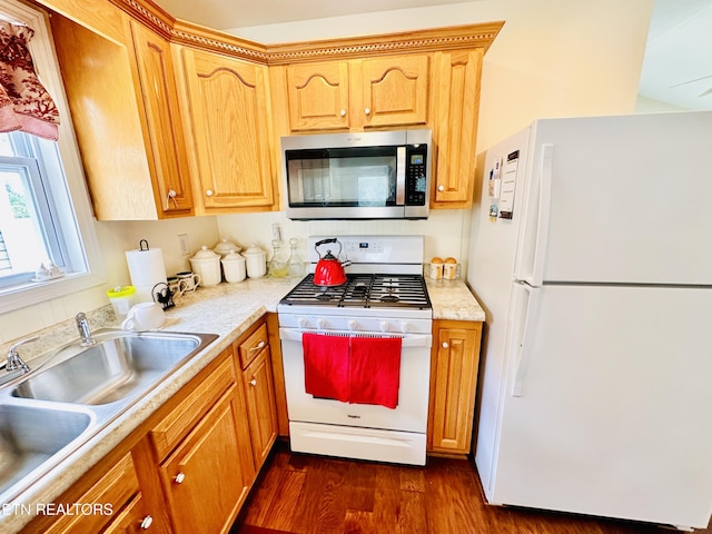 kitchen featuring white appliances, sink, and dark wood-type flooring