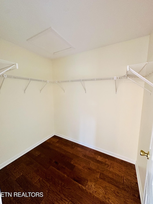 813 Clear Creek Pkwy, Clarkrange, TN 38553 - spacious closet featuring attic access and wood-type flooring