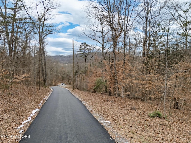 Listing photo 3 for 1761 Rays Gap Rd, Seymour TN 37865