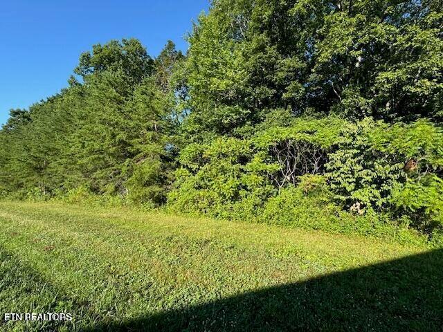 Mae Dr, Jamestown TN, 38556 land for sale