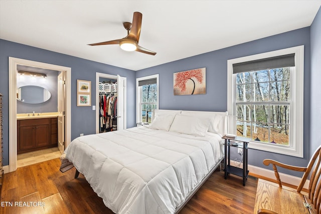 bedroom with ensuite bath, multiple windows, a walk in closet, a closet, and dark hardwood / wood-style flooring