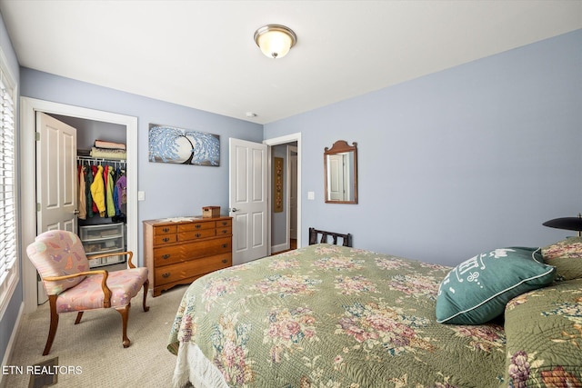 bedroom featuring a spacious closet, carpet, and a closet