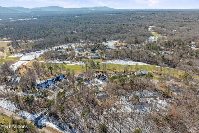 aerial view with a mountain view