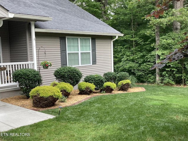 view of home's exterior with a yard