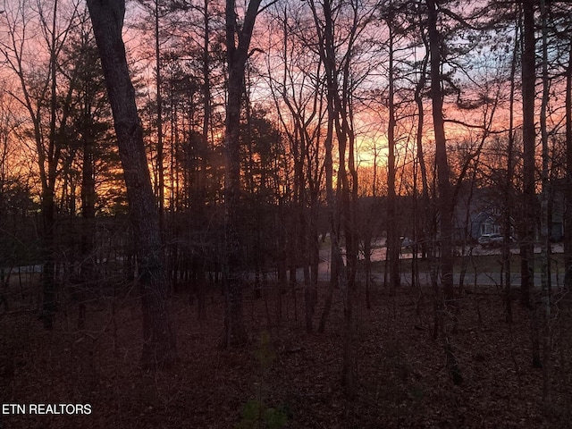 view of nature at dusk