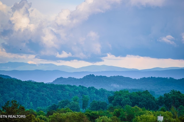 property view of mountains