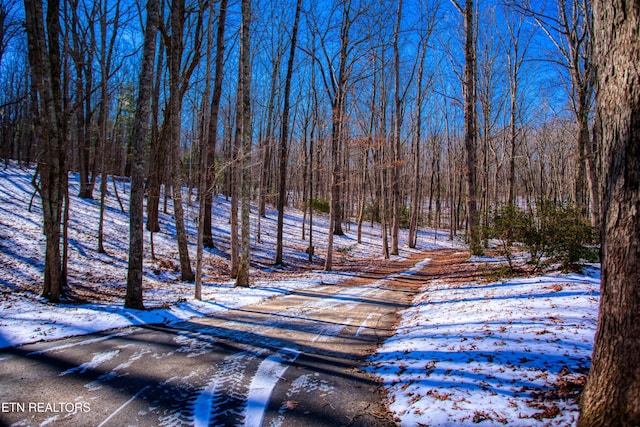 105 Charity Ln, Jamestown, TN 38556 - snowy yard with a wooded view