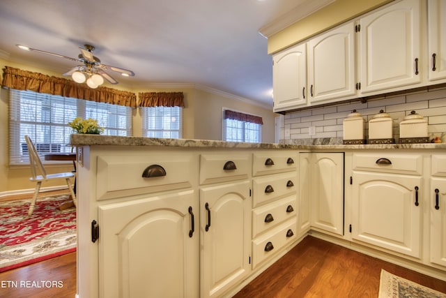 105 Charity Ln, Jamestown, TN 38556 - kitchen with ornamental molding, a ceiling fan, backsplash, dark wood-style floors, and stone counters