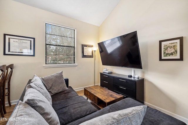 living room with lofted ceiling and wood-type flooring