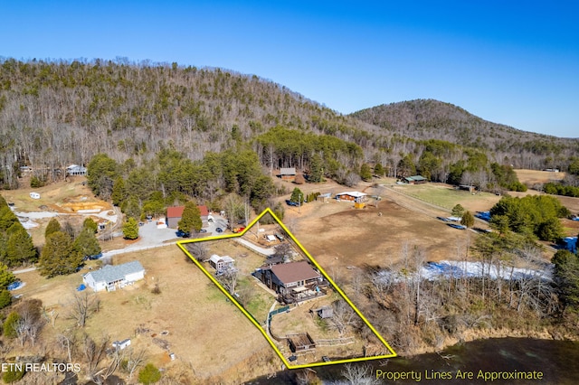 birds eye view of property with a mountain view