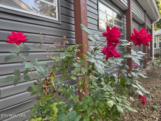 48 Apache Trl, Crossville, TN 38572 - photo 5