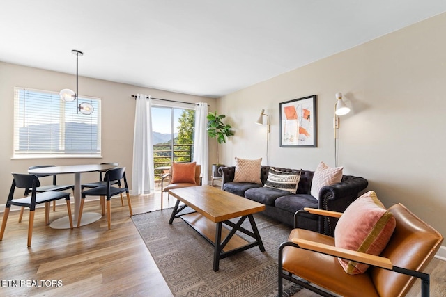 living room featuring hardwood / wood-style floors