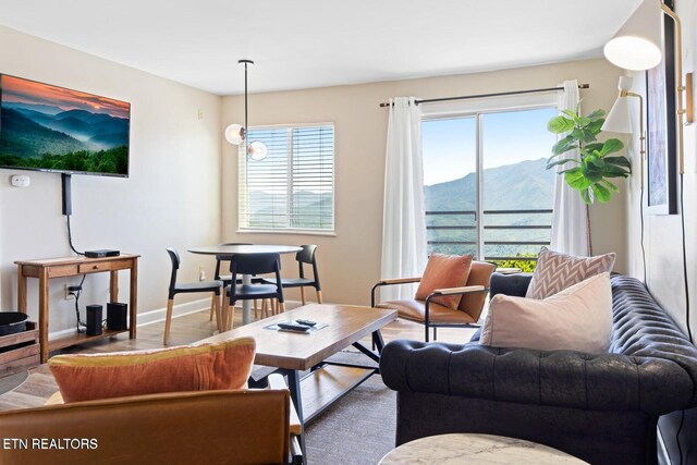 living room with a mountain view and hardwood / wood-style flooring