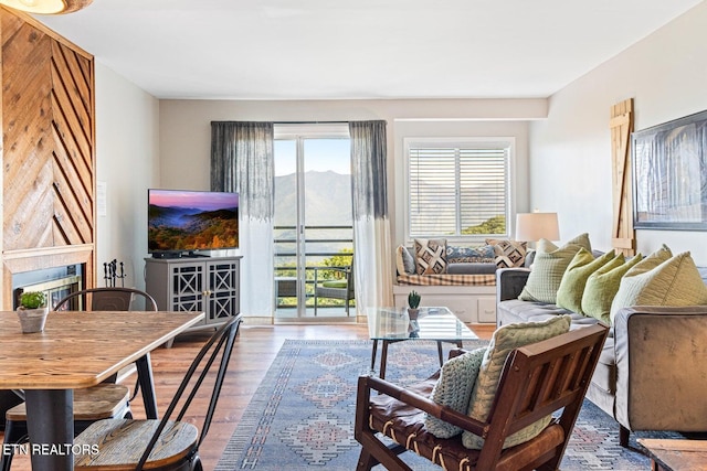 living room featuring hardwood / wood-style flooring