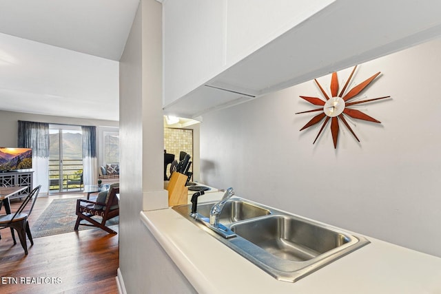 kitchen featuring sink and dark wood-type flooring