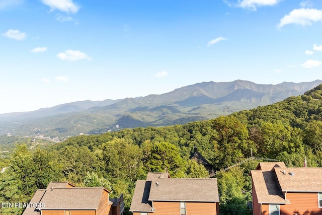 view of mountain feature