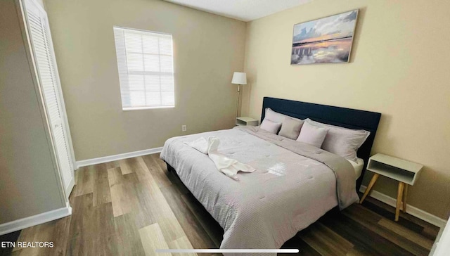 bedroom with hardwood / wood-style floors and a closet