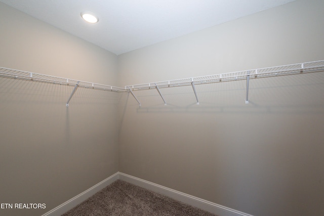 spacious closet with dark carpet