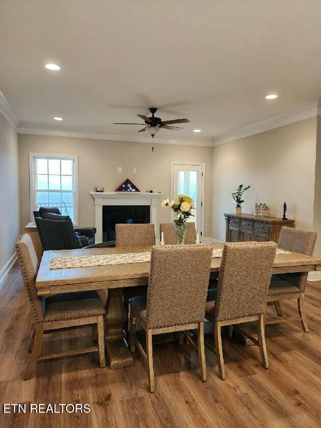 dining space featuring baseboards, wood finished floors, crown molding, a fireplace, and recessed lighting