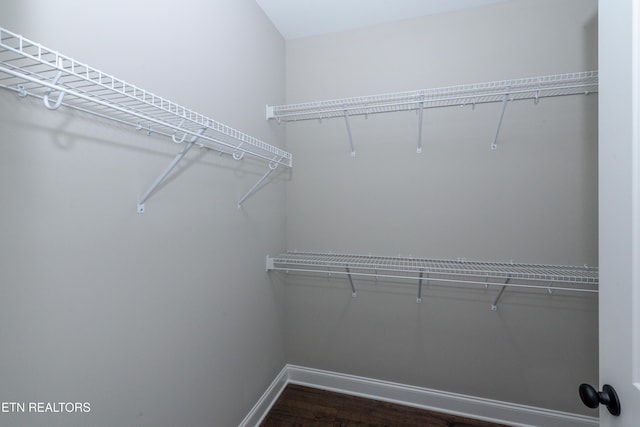 spacious closet with dark wood-style floors