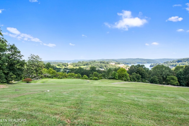 view of home's community featuring a lawn