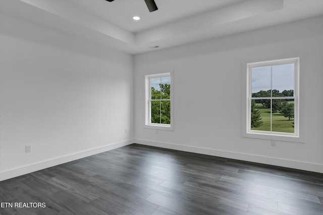 unfurnished room with a raised ceiling, ceiling fan, and dark wood-type flooring