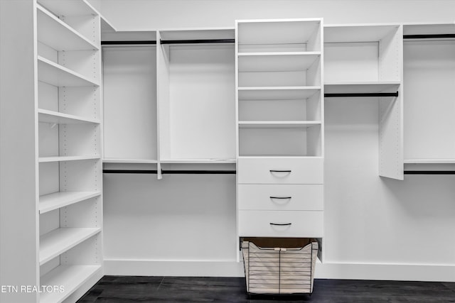 spacious closet with dark hardwood / wood-style flooring