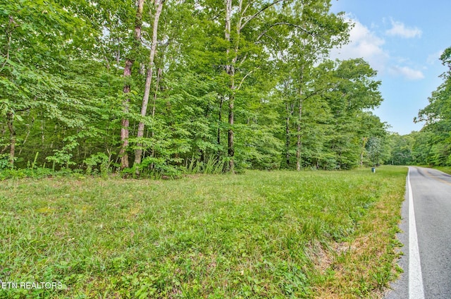 Listing photo 3 for 2.2ACRES Simmons Rd, Pikeville TN 37367