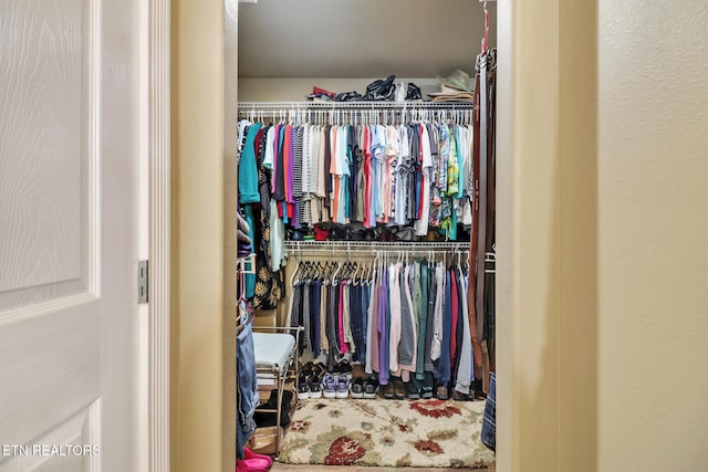 view of spacious closet