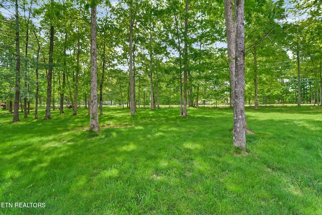 153 Walden Ridge Dr, Fairfield Glade, TN 38558 - view of grassy yard