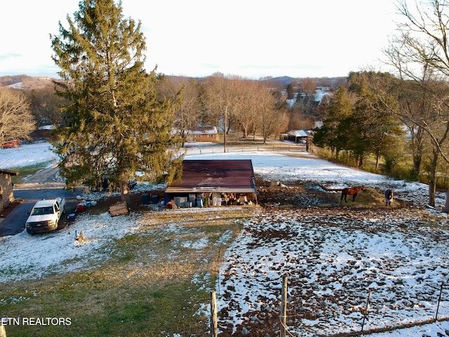 view of snowy yard