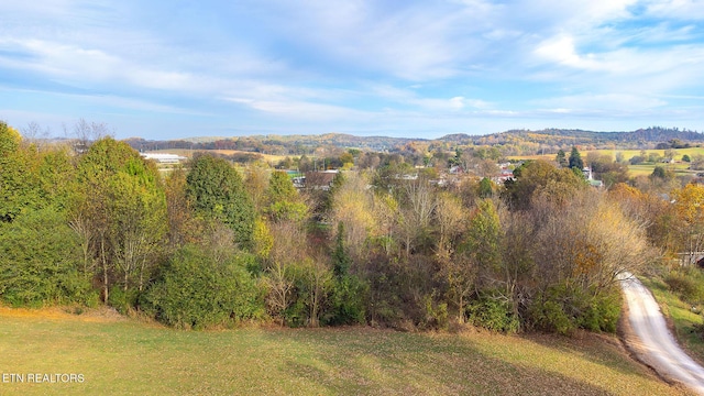 view of mountain feature