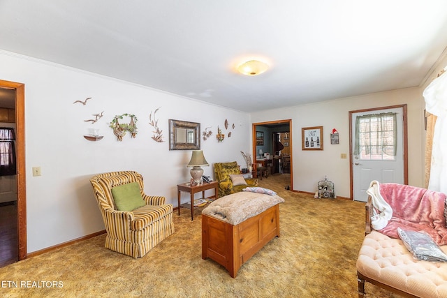 view of carpeted living room