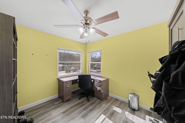 office area with ceiling fan and light wood-type flooring